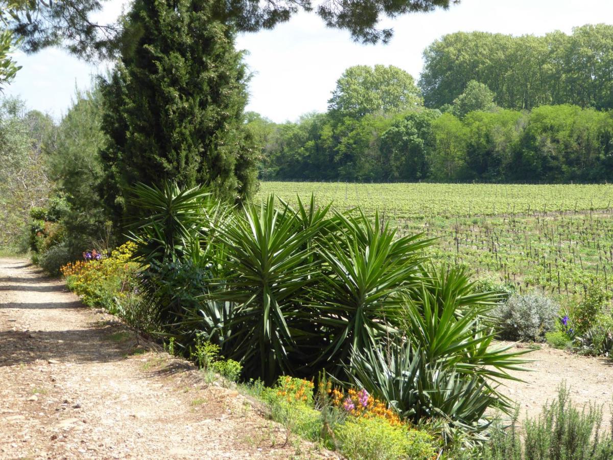 Domaine de l’Herbe Sainte Mirepeisset Extérieur photo