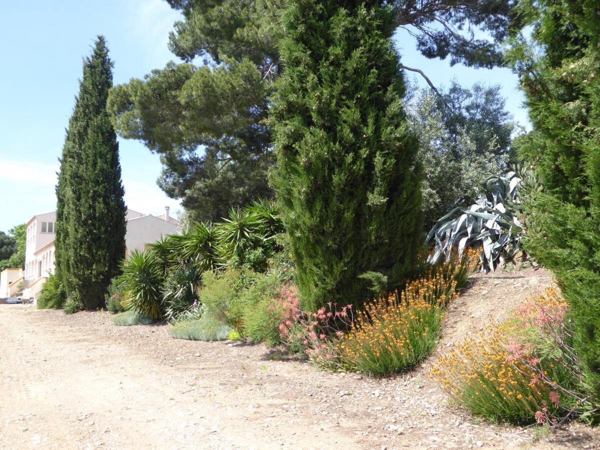 Domaine de l’Herbe Sainte Mirepeisset Extérieur photo