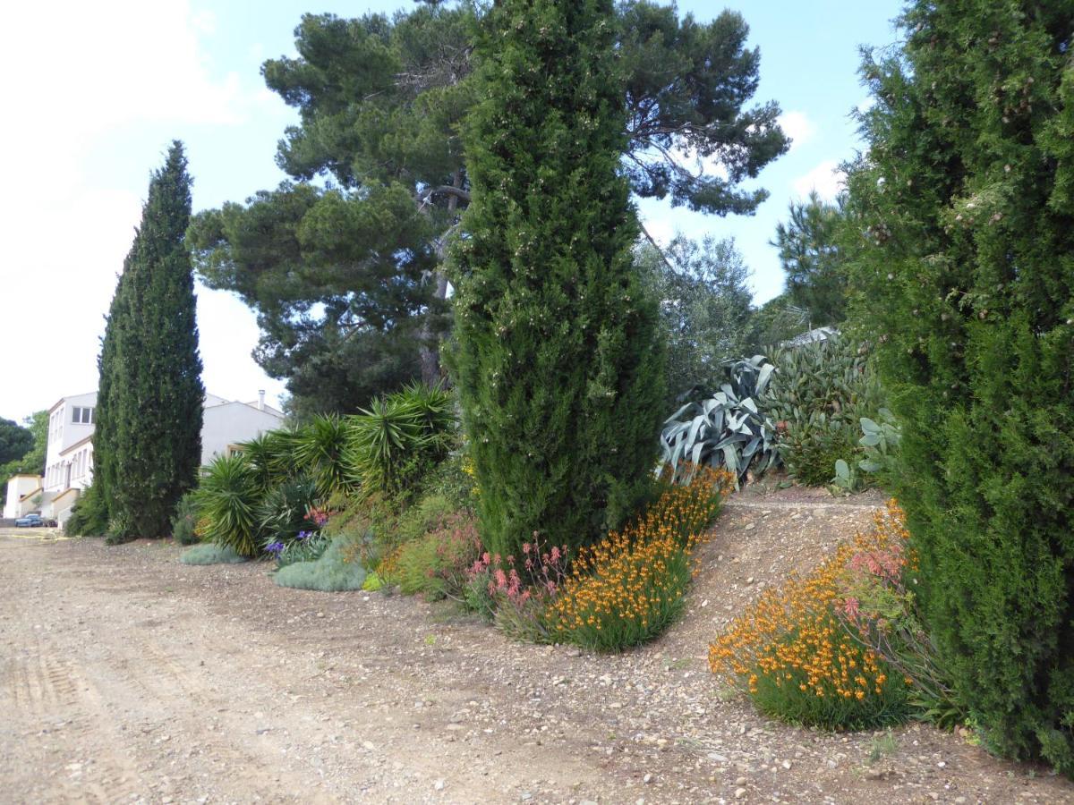 Domaine de l’Herbe Sainte Mirepeisset Extérieur photo
