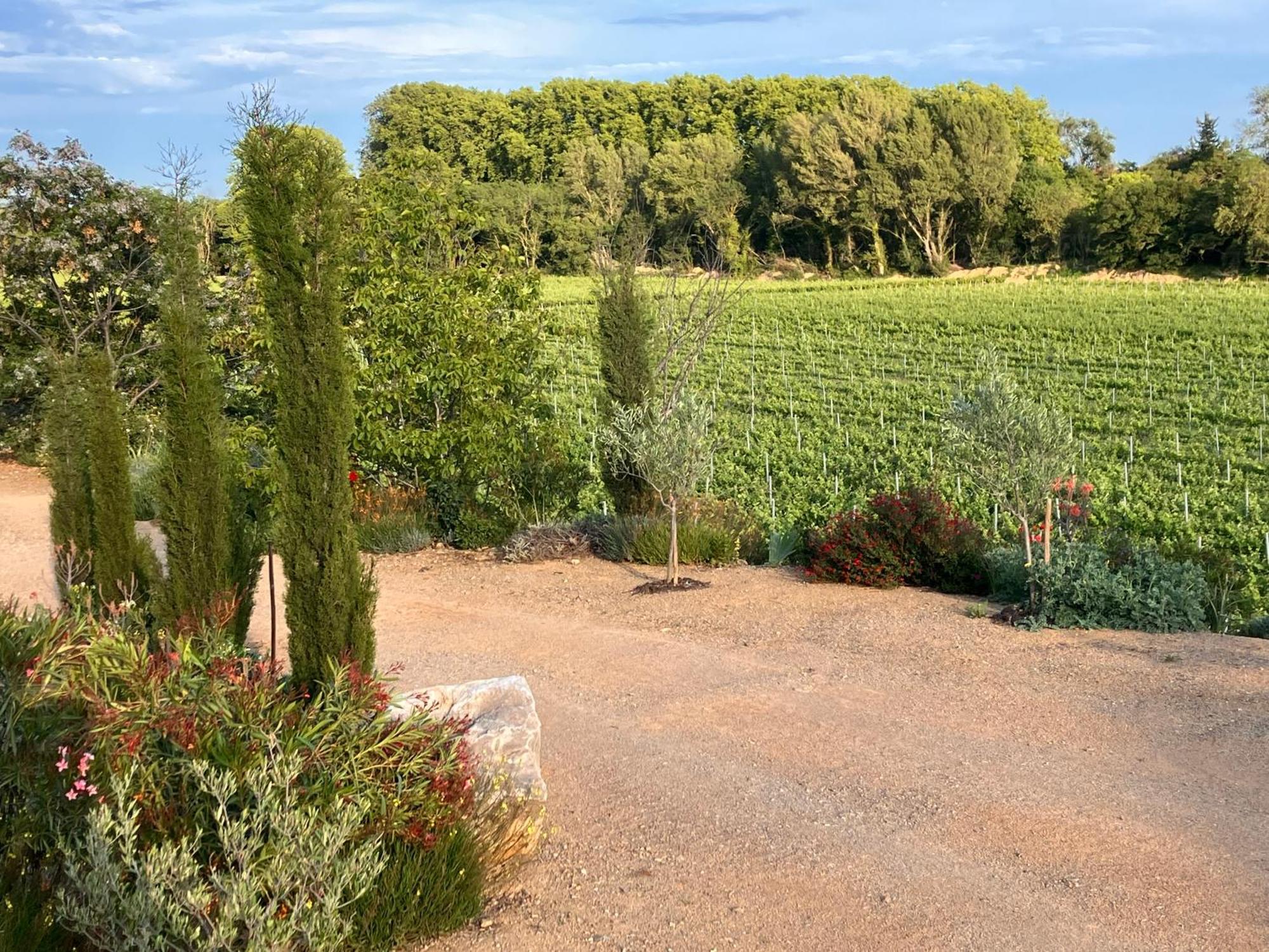 Domaine de l’Herbe Sainte Mirepeisset Extérieur photo