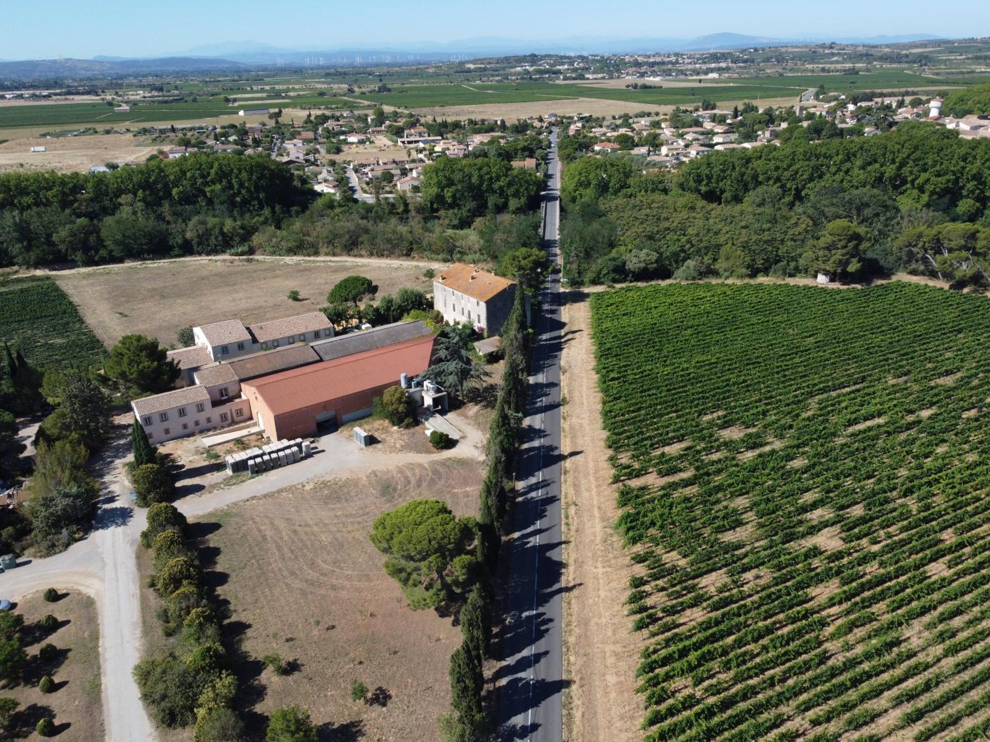 Domaine de l’Herbe Sainte Mirepeisset Extérieur photo